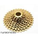 CASSETTA RECON ERGAL GOLD 11-34