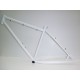 Telaio bici mtb FAT BIKE 26" in acciaio colore bianco / nero / verde